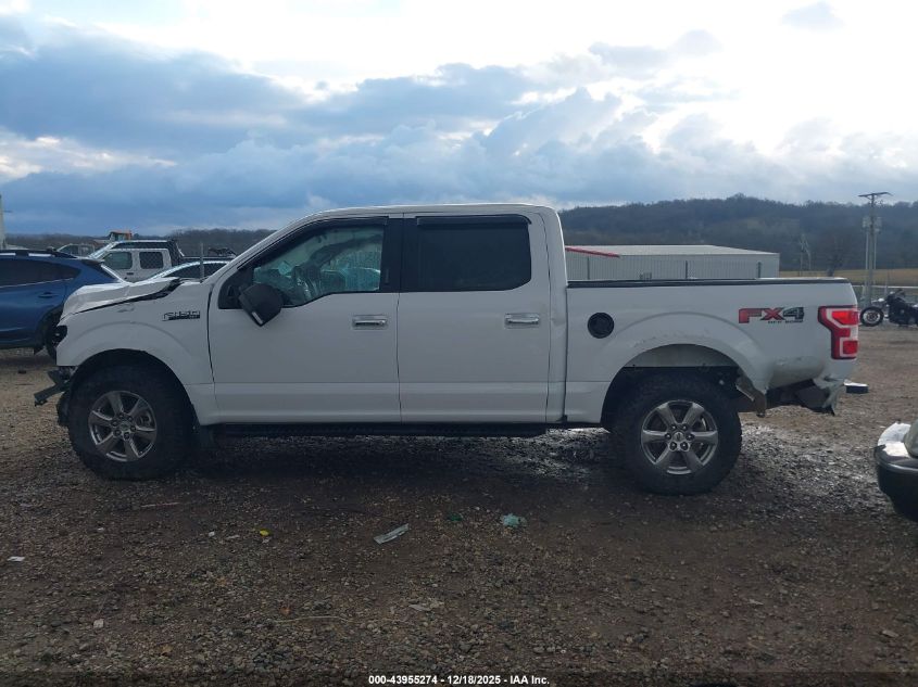 2018 Ford F-150 Xlt VIN: 1FTEW1E50JKF39254 Lot: 43955274