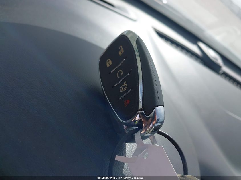 2023 Chevrolet Malibu Fwd 1Lt VIN: 1G1ZD5ST8PF232507 Lot: 43955298