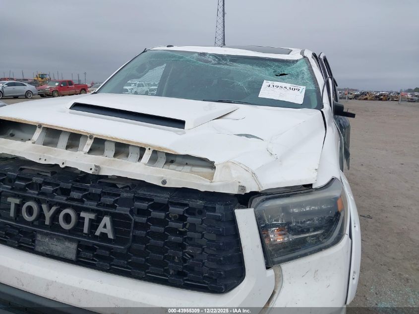 2019 Toyota Tundra Trd Pro 5.7L V8 VIN: 5TFDY5F1XKX799691 Lot: 43955309