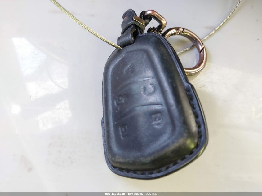 2016 Cadillac Srx Premium Collection VIN: 3GYFNDE35GS569879 Lot: 43955340