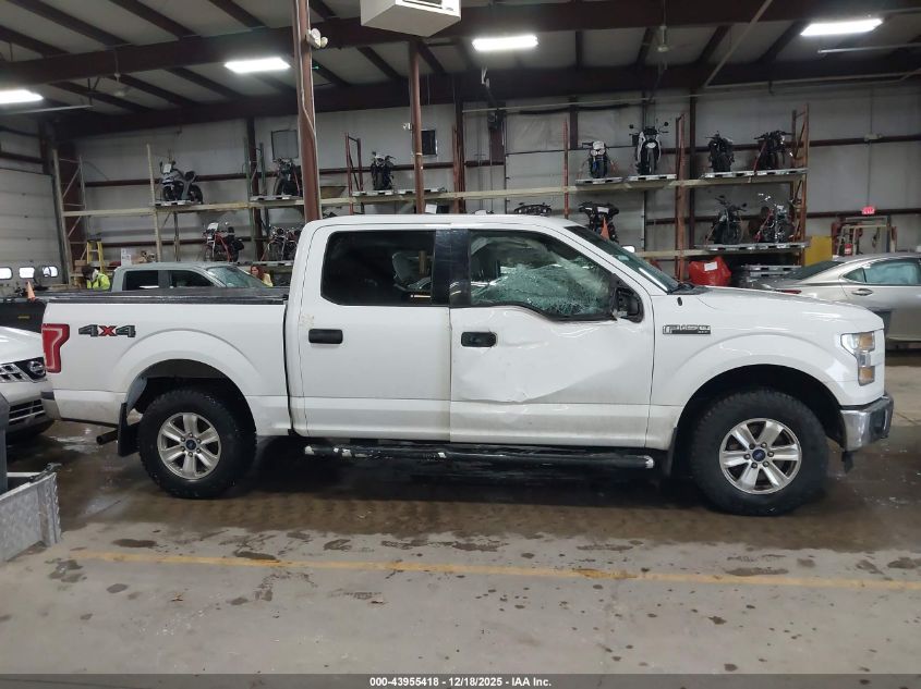 2015 Ford F-150 Xlt VIN: 1FTEW1E87FFC80501 Lot: 43955418