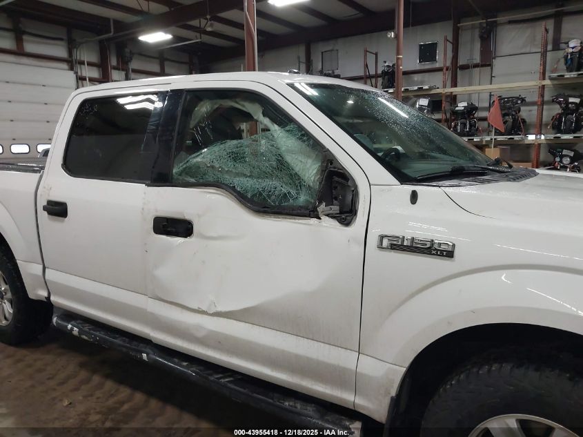 2015 Ford F-150 Xlt VIN: 1FTEW1E87FFC80501 Lot: 43955418