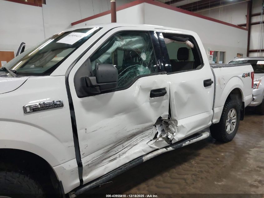 2015 Ford F-150 Xlt VIN: 1FTEW1E87FFC80501 Lot: 43955418