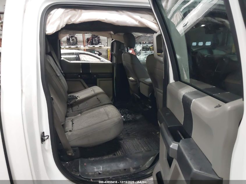 2015 Ford F-150 Xlt VIN: 1FTEW1E87FFC80501 Lot: 43955418