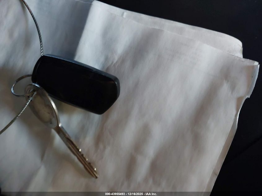 2004 Jeep Wrangler Rubicon VIN: 1J4FA69S34P790514 Lot: 43955493