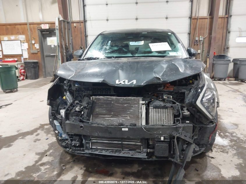 2023 Kia Sportage Hybrid Lx VIN: KNDPUCAG9P7059856 Lot: 43955578