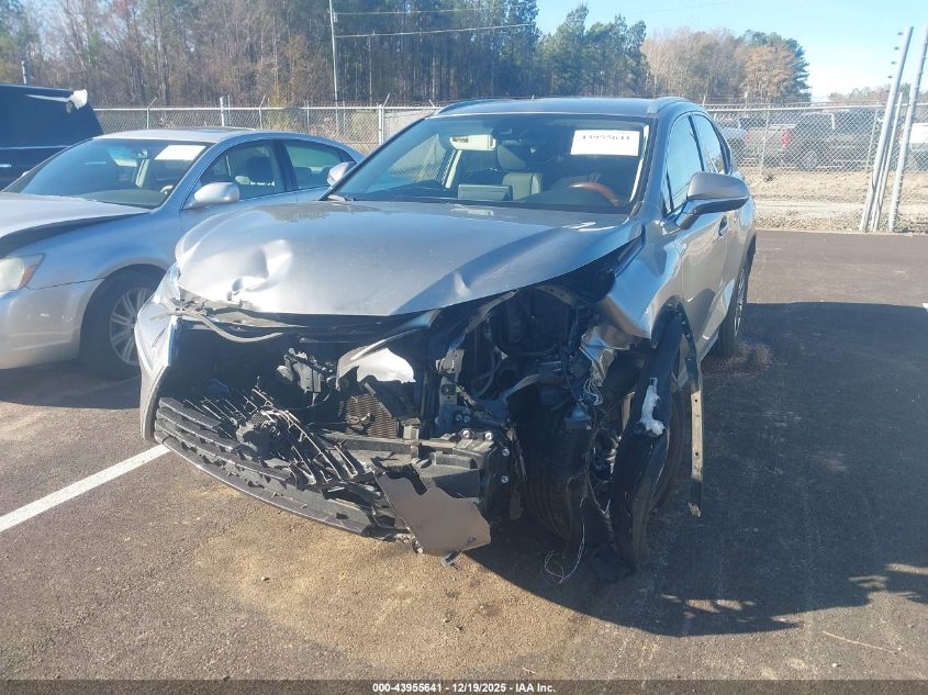 2020 Lexus Nx 300 VIN: JTJAARBZ3L2177990 Lot: 43955641