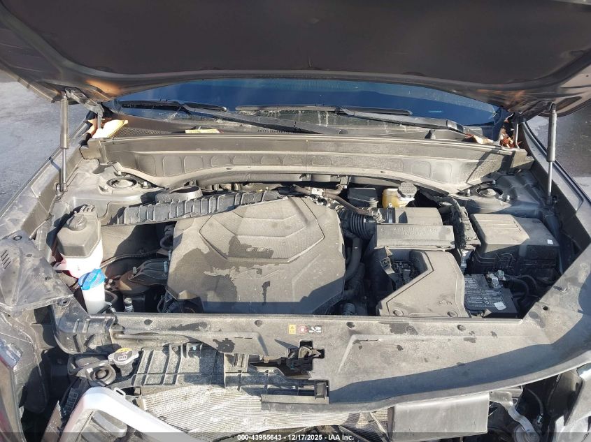 2023 Kia Telluride Sx VIN: 5XYP5DGCXPG355205 Lot: 43955643