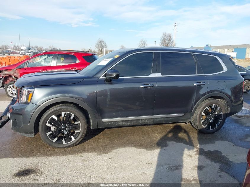 2023 Kia Telluride Sx VIN: 5XYP5DGCXPG355205 Lot: 43955643