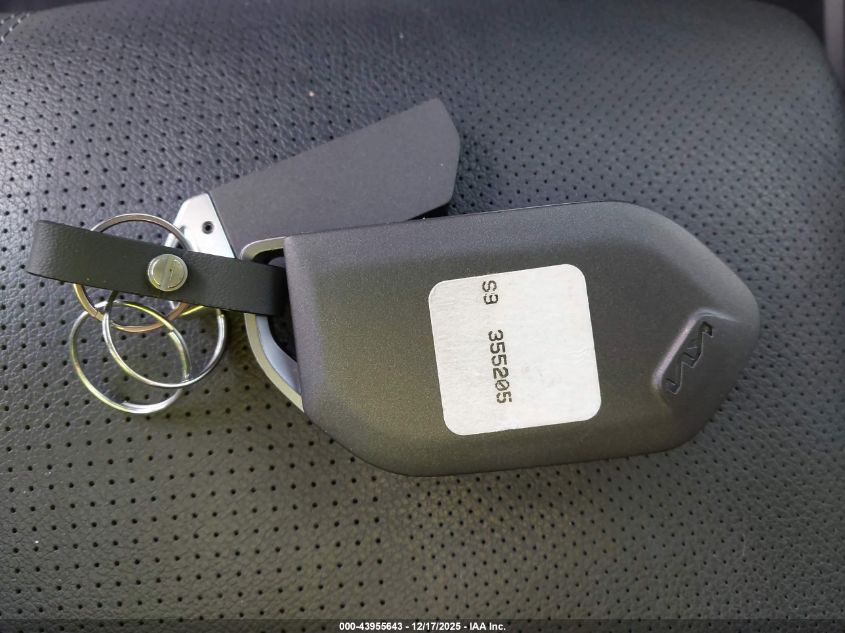 2023 Kia Telluride Sx VIN: 5XYP5DGCXPG355205 Lot: 43955643