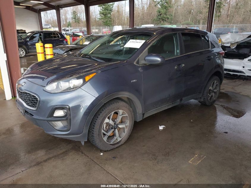 2020 Kia Sportage Lx VIN: KNDPMCACXL7681146 Lot: 43955649