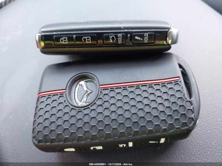 2025 Mazda Mazda3 2.5 S Select Sport VIN: JM1BPABM4S1770841 Lot: 43955691