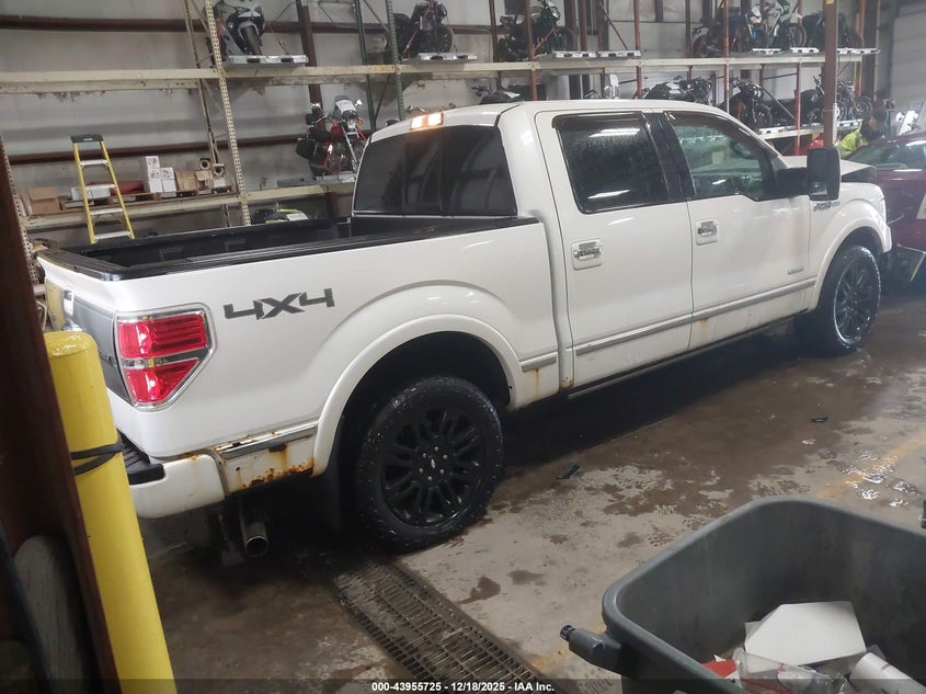 2013 Ford F-150 Platinum