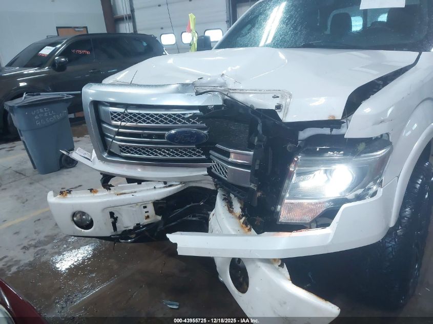 2013 Ford F-150 Platinum VIN: 1FTFW1ET8DFA76439 Lot: 43955725