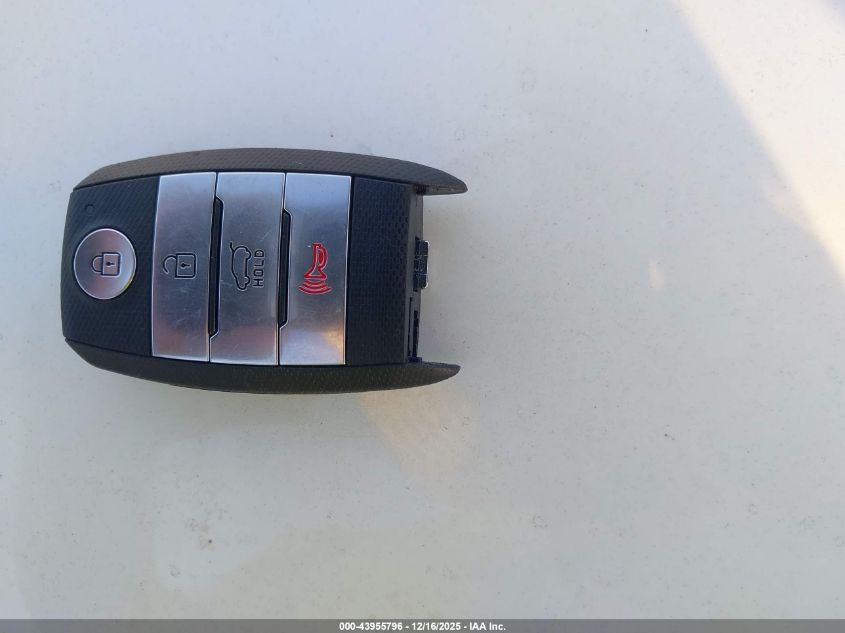 2019 Kia Niro Ev Ex Premium VIN: KNDCE3LG7K5028859 Lot: 43955796