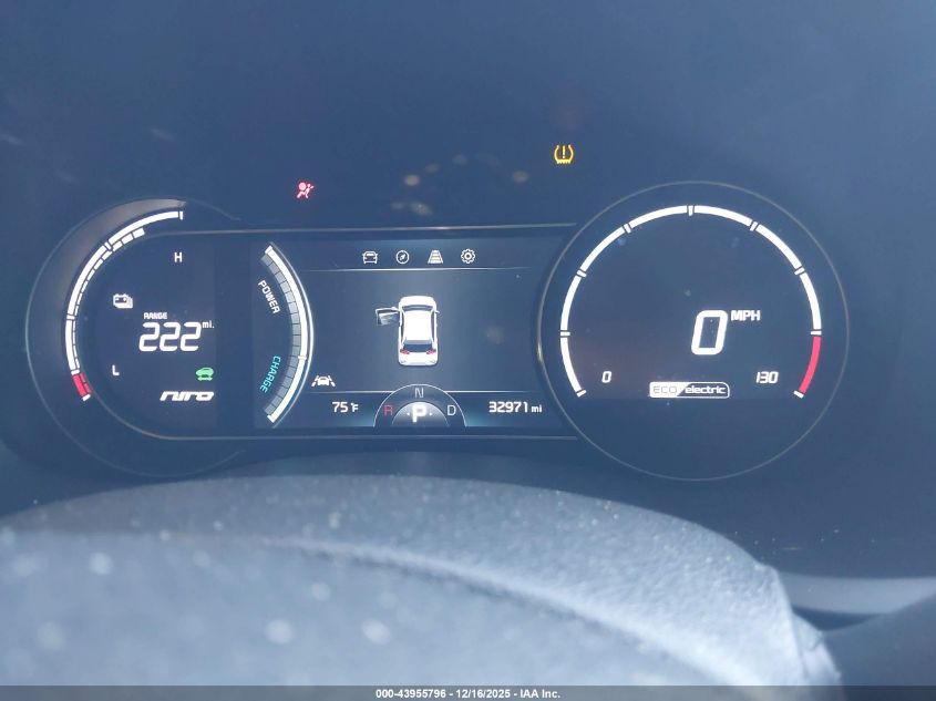 2019 Kia Niro Ev Ex Premium VIN: KNDCE3LG7K5028859 Lot: 43955796