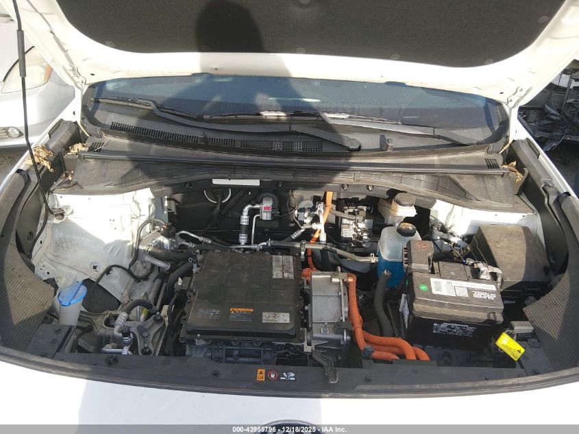 2019 Kia Niro Ev Ex Premium VIN: KNDCE3LG7K5028859 Lot: 43955796