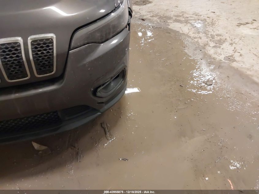 2019 Jeep Cherokee Latitude Plus 4X4 VIN: 1C4PJMLX5KD156249 Lot: 43955875