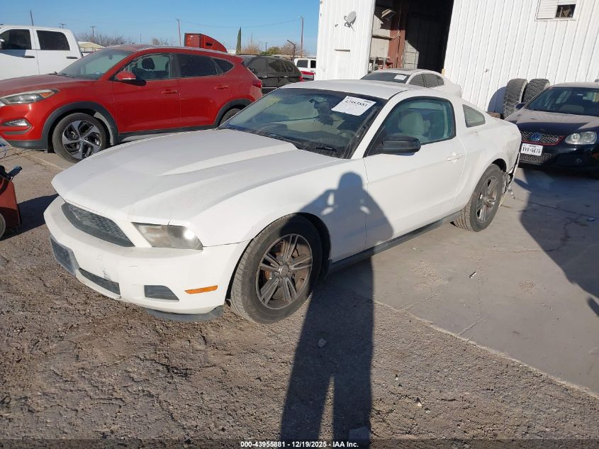 2010 Ford Mustang V6/V6 Premium VIN: 1ZVBP8AN7A5112003 Lot: 43955881