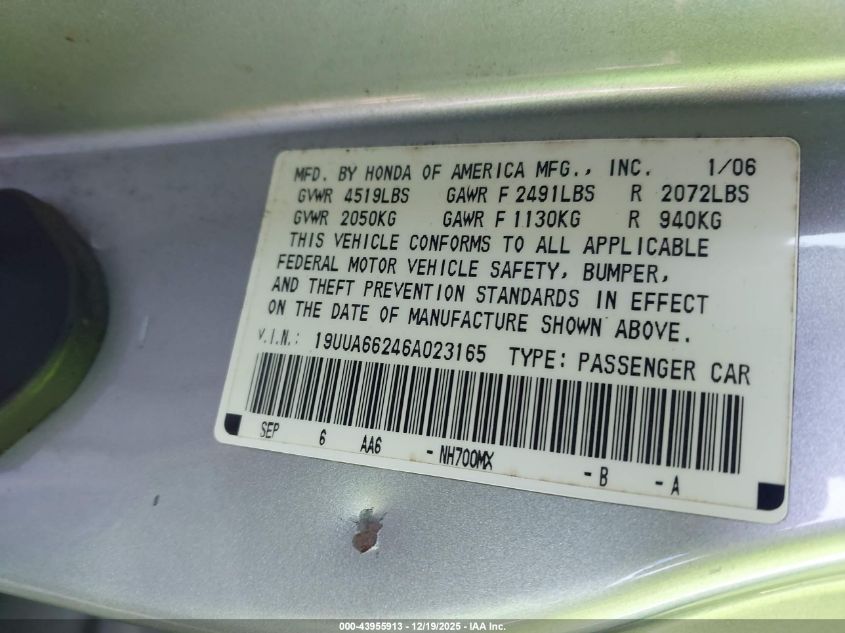 2006 Acura Tl VIN: 19UUA66246A023165 Lot: 43955913