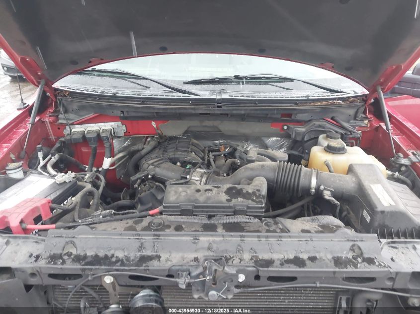 2012 Ford F-150 Xlt VIN: 1FTMF1EM3CFB51031 Lot: 43955930