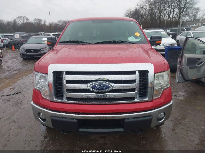 2012 Ford F-150 Xlt VIN: 1FTMF1EM3CFB51031 Lot: 43955930