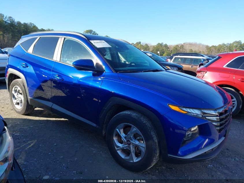2024 Hyundai Tucson Sel VIN: 5NMJBCDE4RH350251 Lot: 43955936