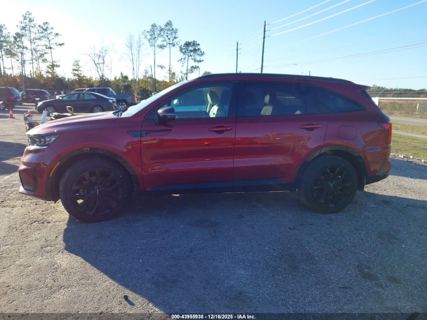2023 Kia Sorento Sx VIN: 5XYRK4LF8PG218748 Lot: 43955938