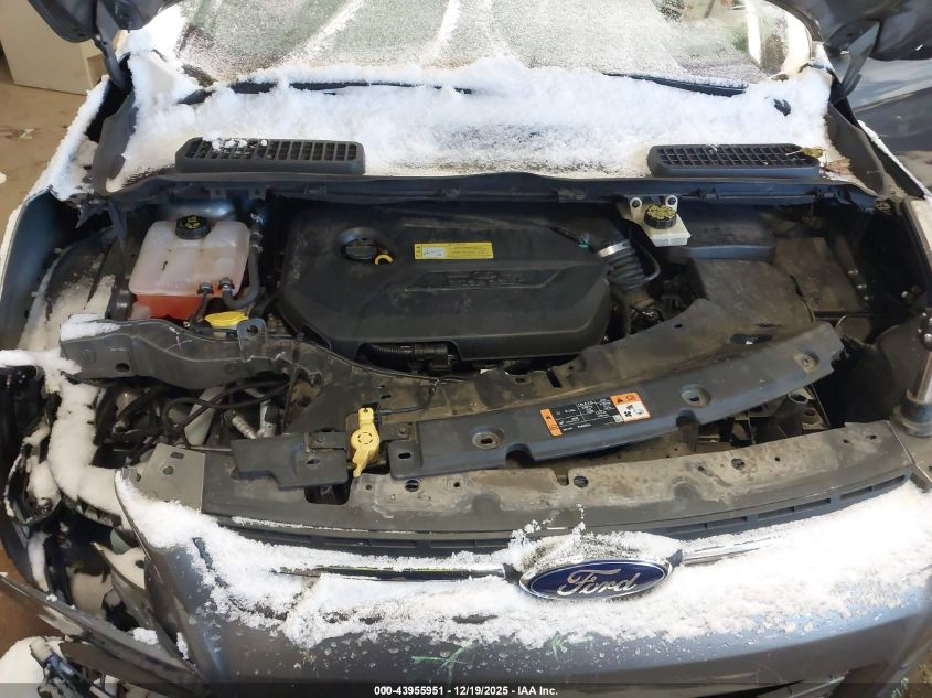 2014 Ford Escape Se VIN: 1FMCU0GX6EUC30660 Lot: 43955951