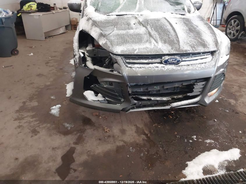 2014 Ford Escape Se VIN: 1FMCU0GX6EUC30660 Lot: 43955951