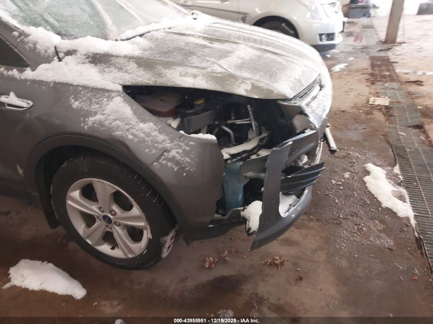 2014 Ford Escape Se VIN: 1FMCU0GX6EUC30660 Lot: 43955951