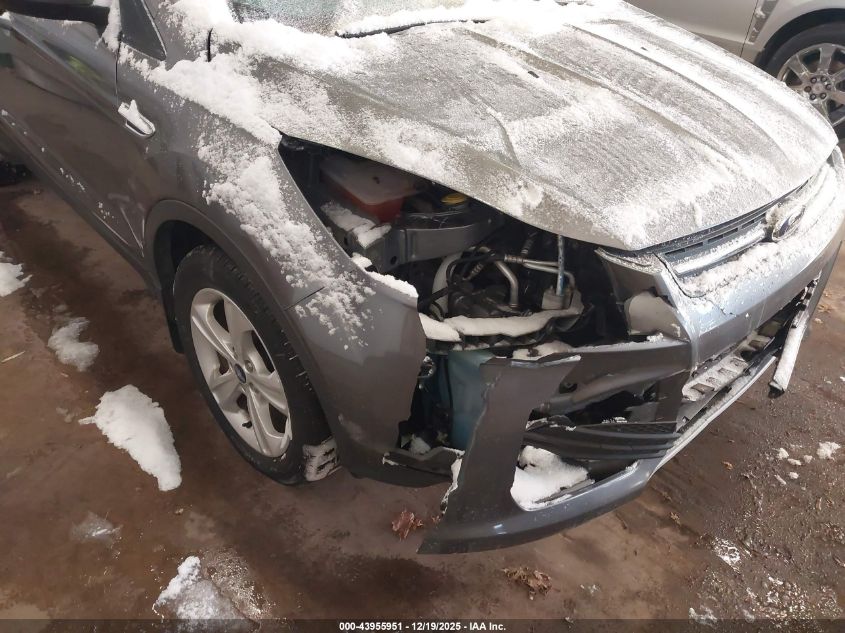 2014 Ford Escape Se VIN: 1FMCU0GX6EUC30660 Lot: 43955951