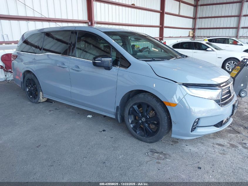 2023 Honda Odyssey Sport VIN: 5FNRL6H77PB031907 Lot: 43956029