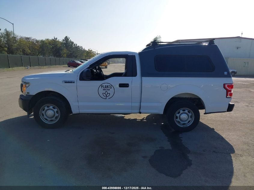 2019 Ford F-150 Xl VIN: 1FTMF1CB9KKE70263 Lot: 43956086