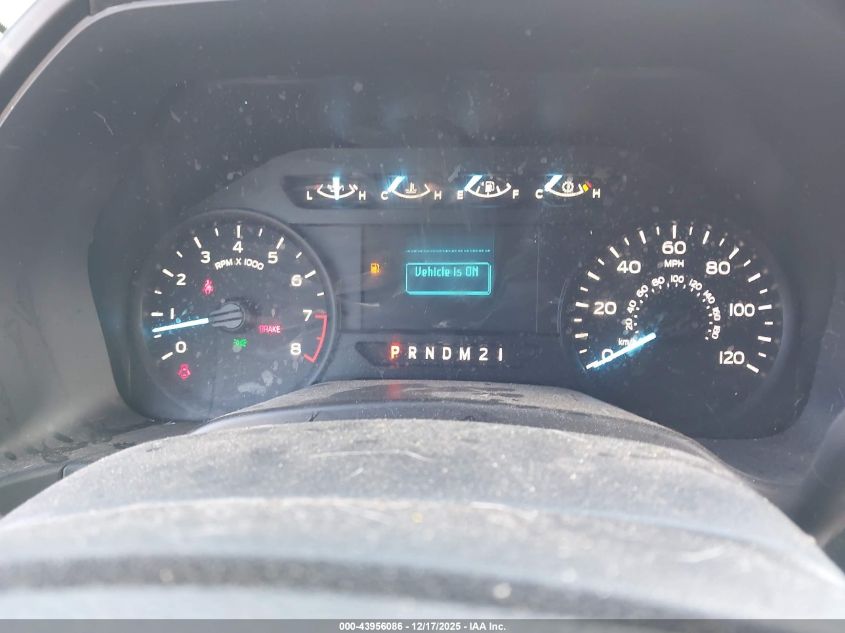 2019 Ford F-150 Xl VIN: 1FTMF1CB9KKE70263 Lot: 43956086