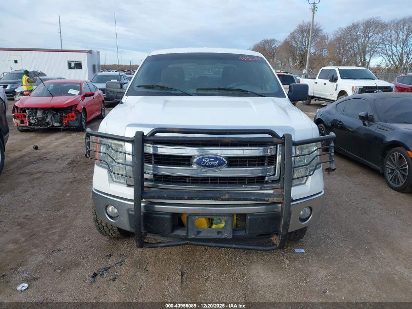 2014 Ford F-150 Xlt VIN: 1FTVW1EFXEKF80442 Lot: 43956089