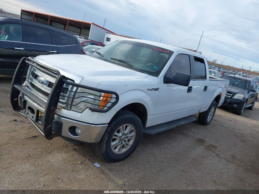 2014 Ford F-150 Xlt VIN: 1FTVW1EFXEKF80442 Lot: 43956089