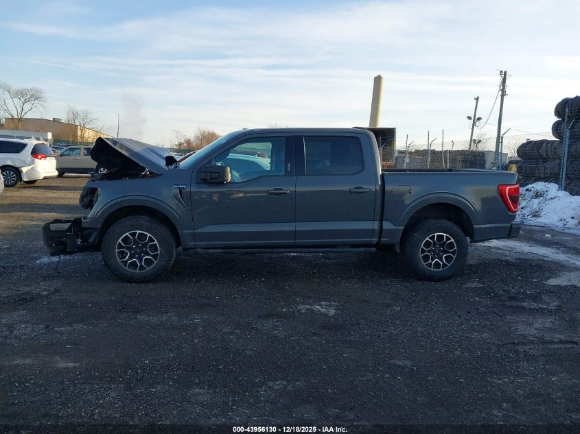2021 Ford F-150 Xlt VIN: 1FTEW1EP3MFB77323 Lot: 43956130