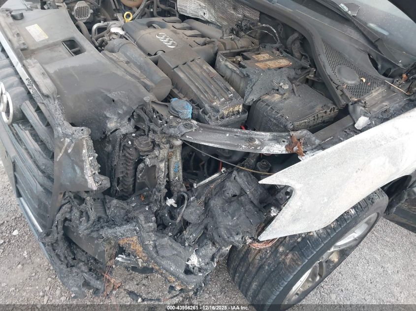 2016 Audi Q3 2.0T Premium Plus VIN: WA1BFCFS5GR016289 Lot: 43956261