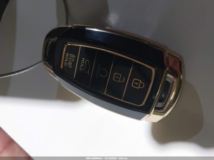 2022 Hyundai Palisade Limited VIN: KM8R5DHE3NU409637 Lot: 43956344