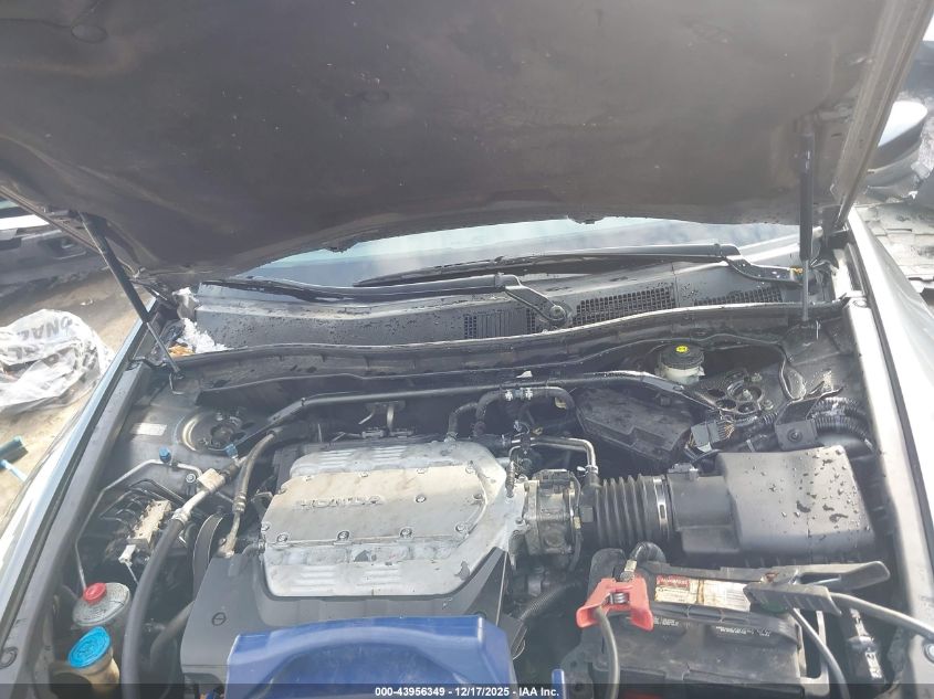 2010 Honda Accord 3.5 Ex-L VIN: 1HGCP3F85AA012827 Lot: 43956349