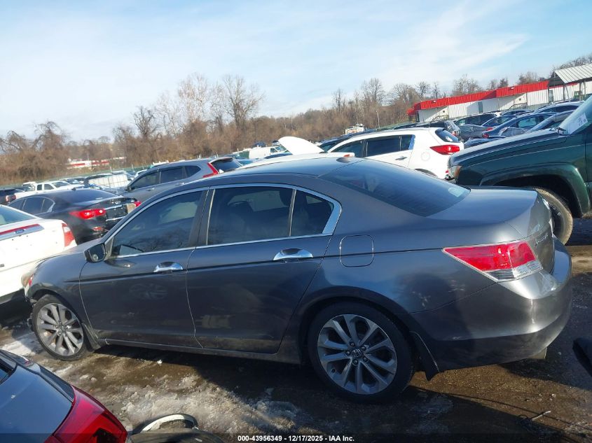 2010 Honda Accord 3.5 Ex-L VIN: 1HGCP3F85AA012827 Lot: 43956349