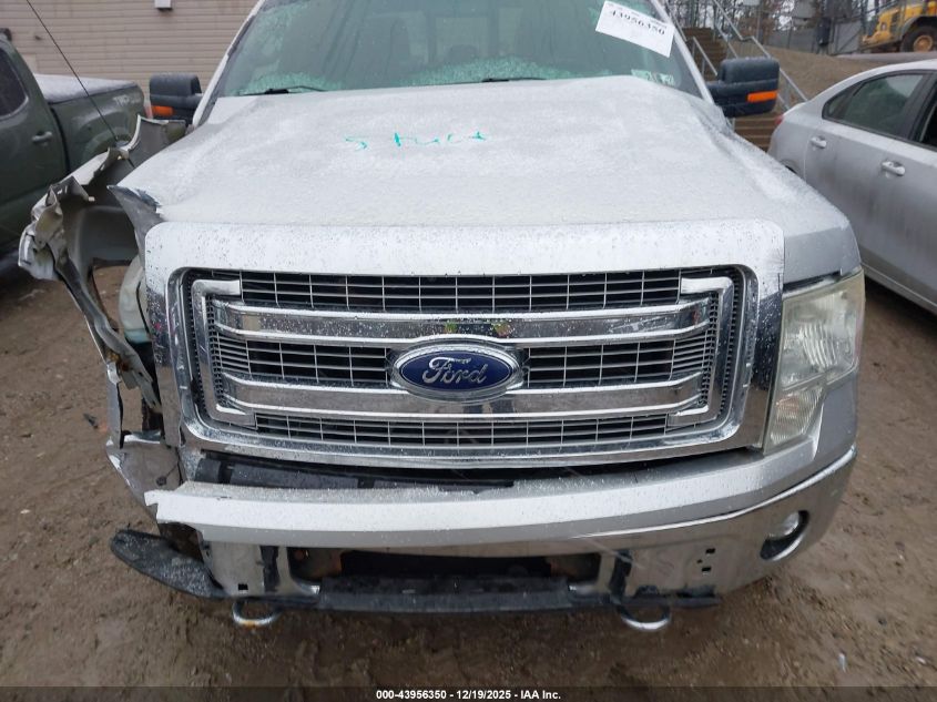 2013 Ford F-150 Xlt VIN: 1FTFW1EF0DFD24838 Lot: 43956350