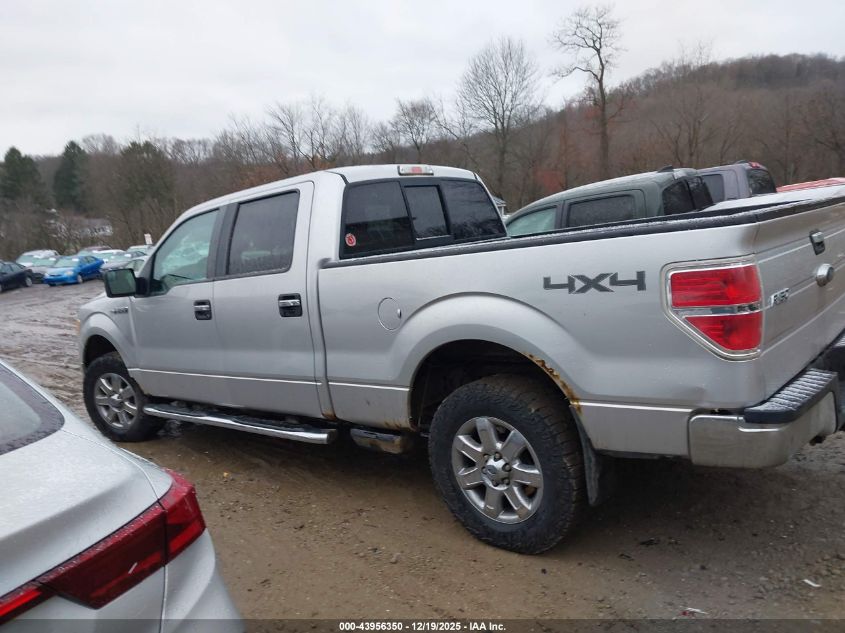 2013 Ford F-150 Xlt VIN: 1FTFW1EF0DFD24838 Lot: 43956350