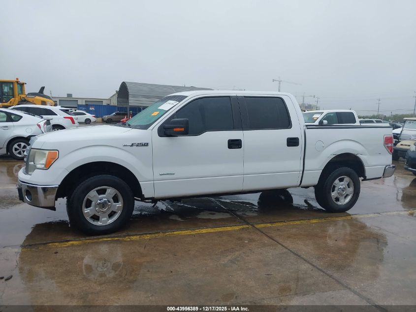 2013 Ford F-150 Xlt VIN: 1FTFW1CT2DFD70115 Lot: 43956389