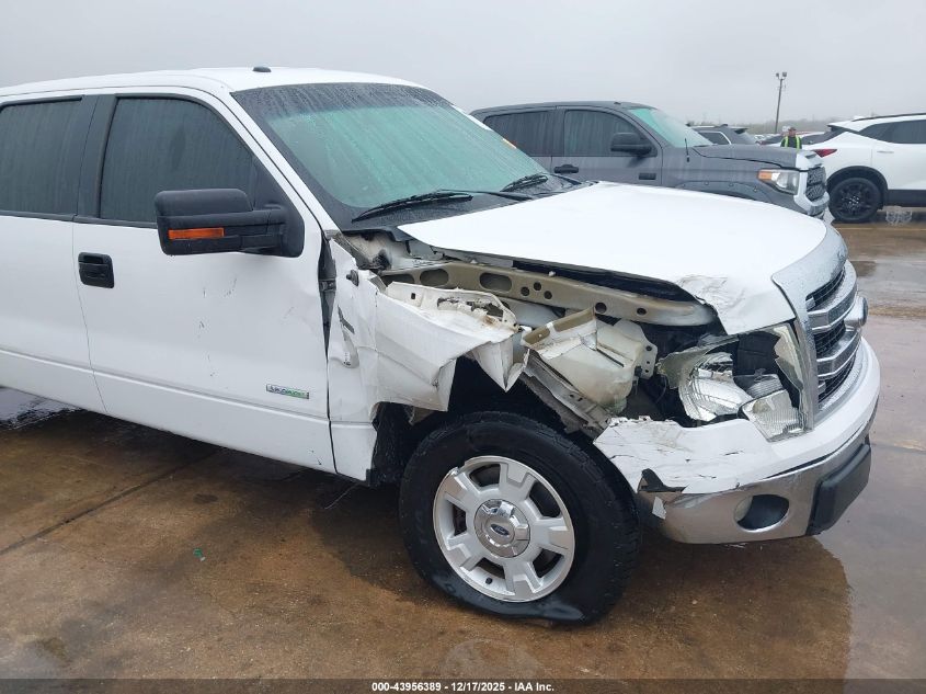 2013 Ford F-150 Xlt VIN: 1FTFW1CT2DFD70115 Lot: 43956389