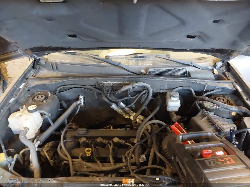 2009 Ford Escape Xlt VIN: 1FMCU03719KC29195 Lot: 43956446