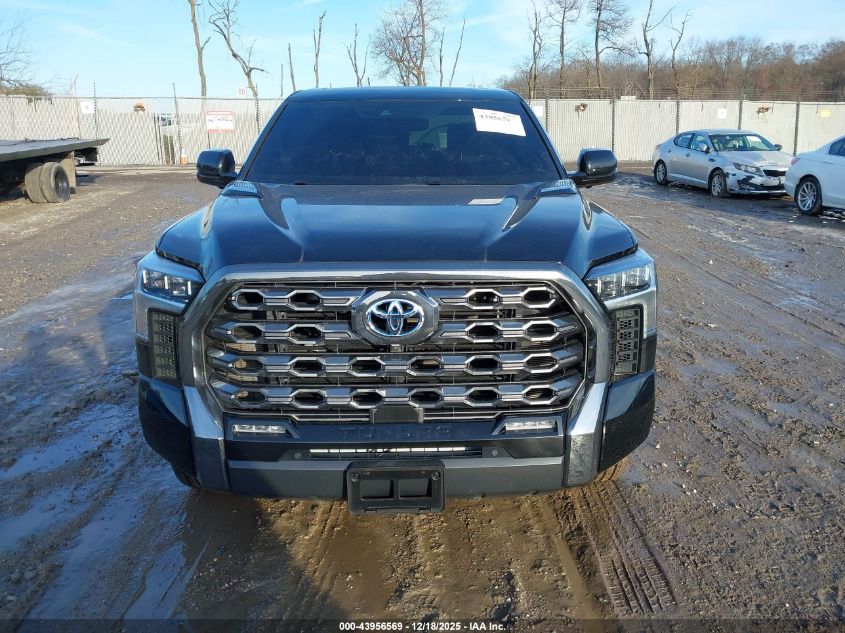 2024 Toyota Tundra Hybrid Platinum 4Wd VIN: 5TFNC5DB9RX073099 Lot: 43956569