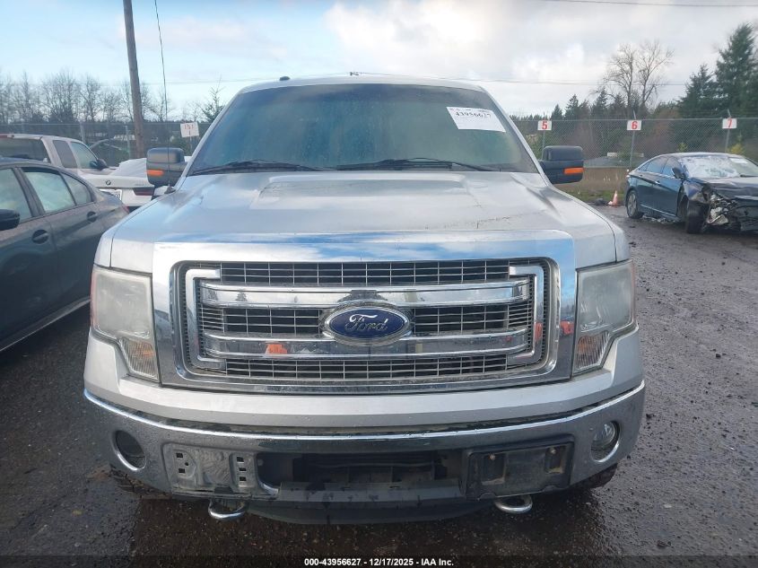 2013 Ford F-150 Xlt VIN: 1FTFW1ET9DKF98116 Lot: 43956627