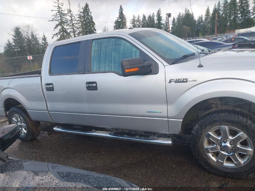 2013 Ford F-150 Xlt VIN: 1FTFW1ET9DKF98116 Lot: 43956627